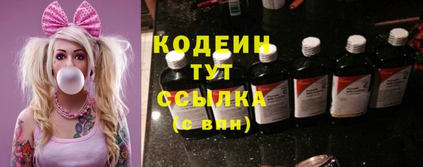 spice Богородицк