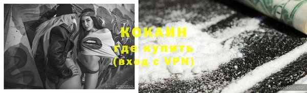spice Богородицк