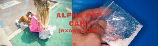 эйфоретик Богданович