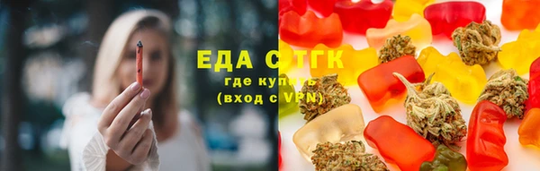 spice Богородицк