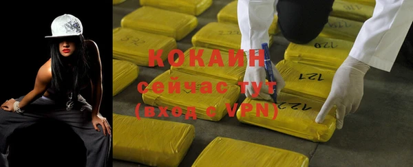 spice Богородицк