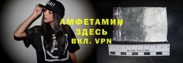 spice Богородицк