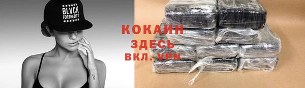 эйфоретик Богданович