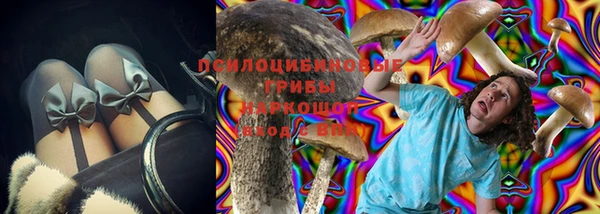 эйфоретик Богданович