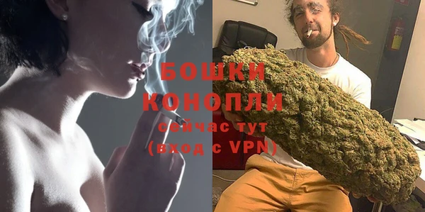 spice Богородицк