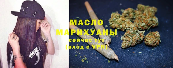 индика Семикаракорск