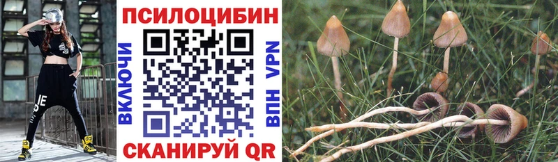shop наркотические препараты  Кодинск  Галлюциногенные грибы MAGIC MUSHROOMS 